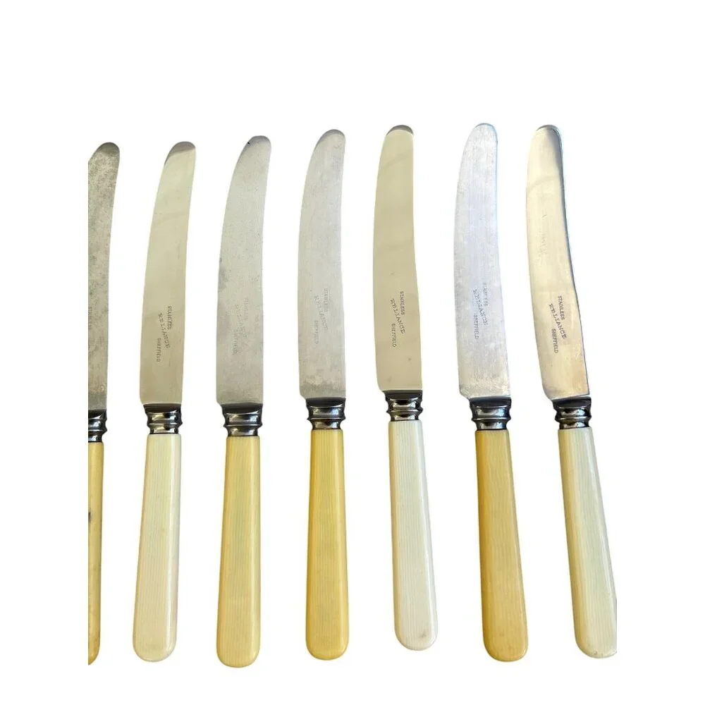Frank & Co Sheffield England Reliance Knives Stanless Steel Cutlery Celluloid‎